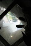 Click on one of the size names above to enlarge this image Click on one of the size names above to enlarge this image