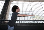 Click on one of the size names above to enlarge this image Click on one of the size names above to enlarge this image