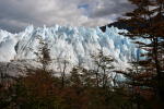 Click on one of the size names above to enlarge this image