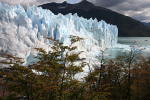 Click on one of the size names above to enlarge this image