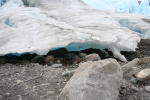 Click on one of the size names above to enlarge this image